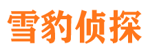 同心捉小三公司